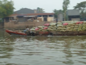 Vietnam-Mekong river